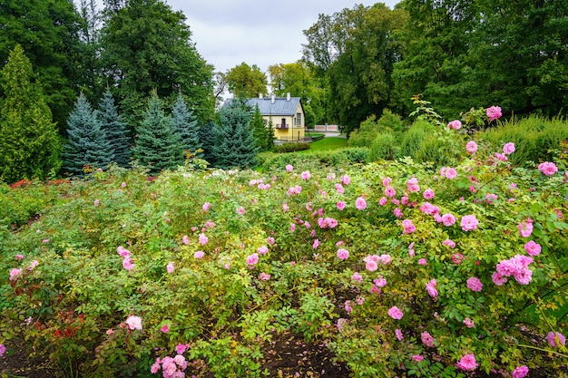 Jardim repleto de flores multicoloridas e uma pequena casa no centro da imagem.