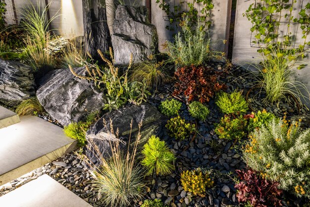 Foto jardim rockery elegante moderno iluminado por luz led ao ar livre tema de jardinagem e paisagismo