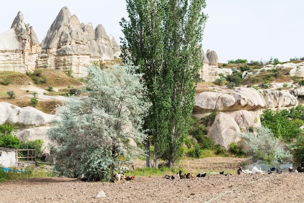 Jardim rural no Parque Nacional de Goreme na Capadócia