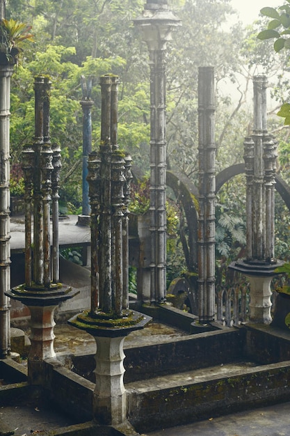 Foto jardim surrealista las pozas em xilitla méxico