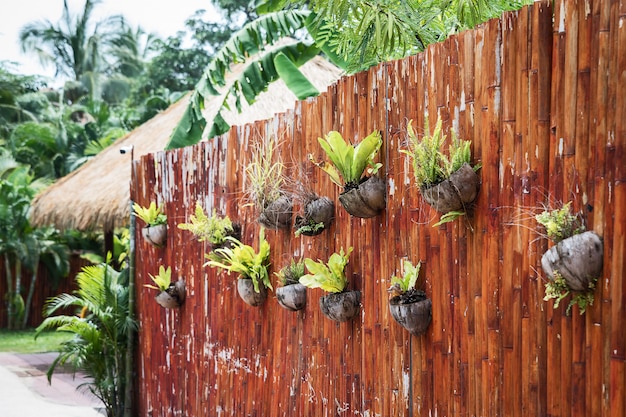 Jardim suspenso vertical.