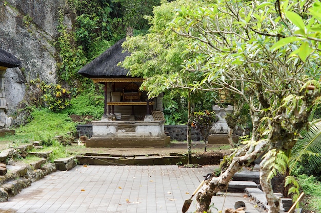 Jardim tropical exuberante e deserto e pátio com paralelepípedos cercado por um muro alto