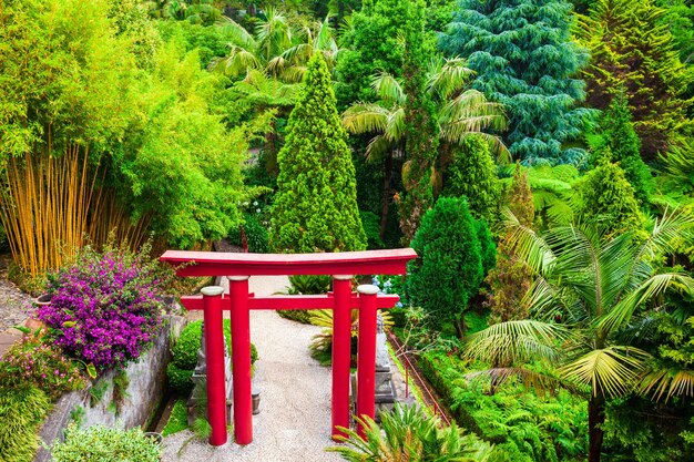 Foto jardim tropical monte palace na madeira