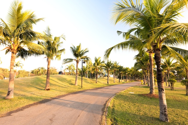 Jardim verde com pista de jogging no parque