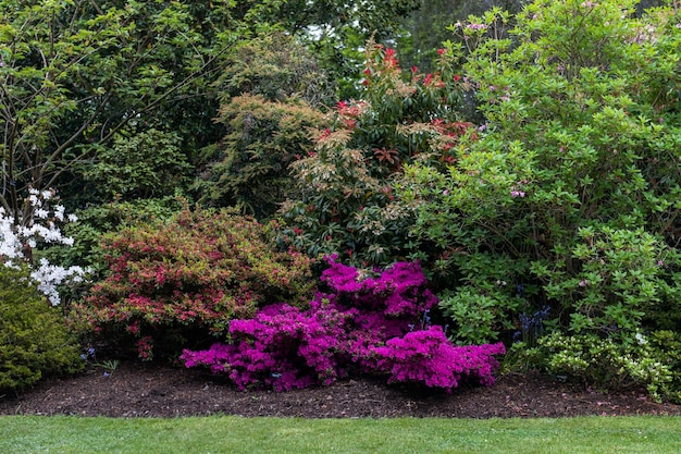 Jardín con árboles en flor durante la primavera