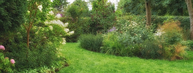 Jardín botánico con árboles de hierba verde y diferentes flores que florecen en verano al aire libre Paisajismo escénico en un parque exuberante con copyspace Vista tranquila y pacífica para disfrutar de un paseo fresco en la naturaleza