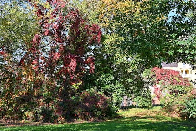 Jardín botánico en la ciudad de Kyiv