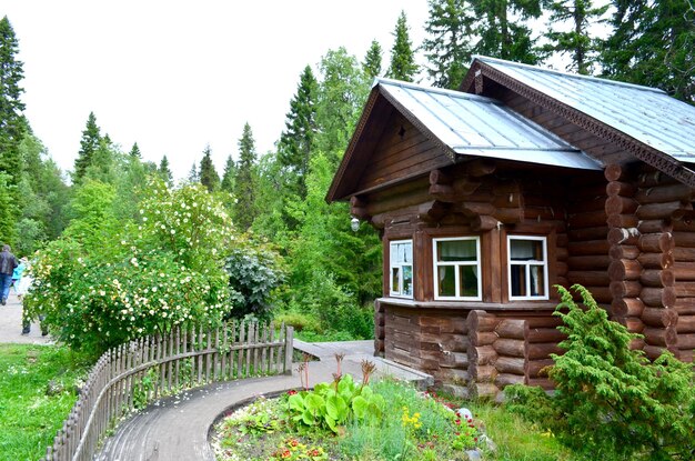 Foto jardín botánico en las islas solovetsky, al norte de rusia, karelia, 29 de julio de 2015