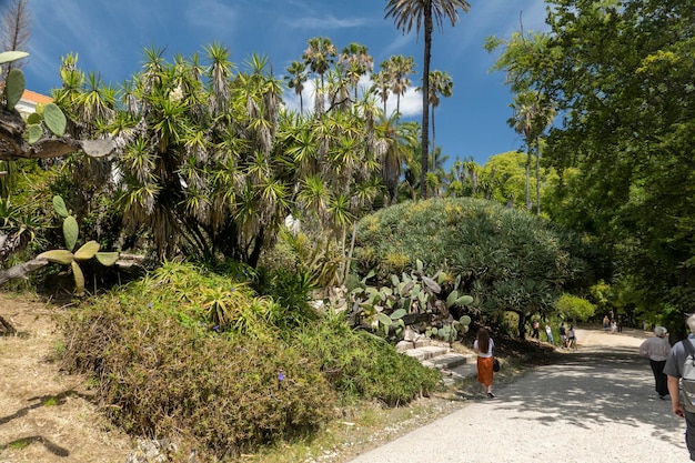 Jardín botánico de Lisboa