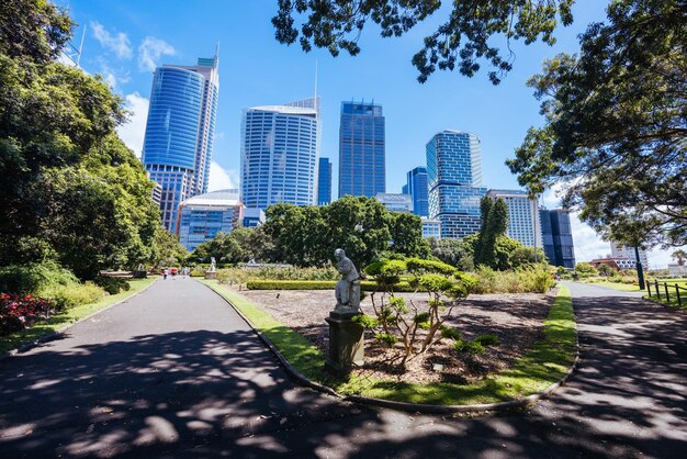 Jardín Botánico Real en una cálida mañana de otoño en Sídney, Nueva Gales del Sur, Australia