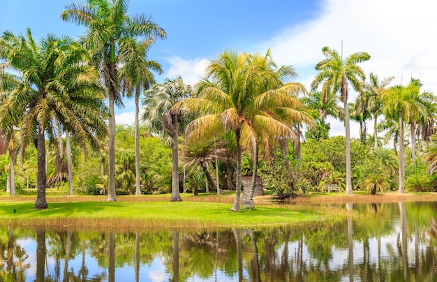 Jardín botánico tropical Fairchild, Miami, Florida, EE. UU.