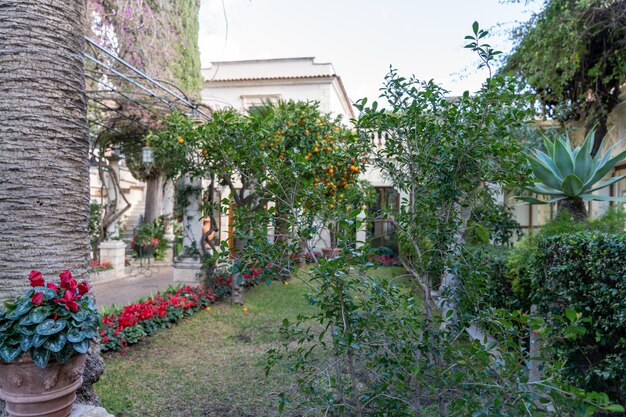 Un jardín con una casa en el fondo