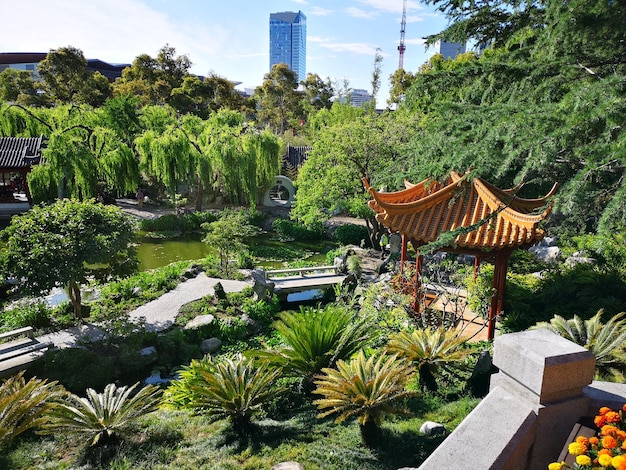 Foto el jardín chino de la amistad de sídney