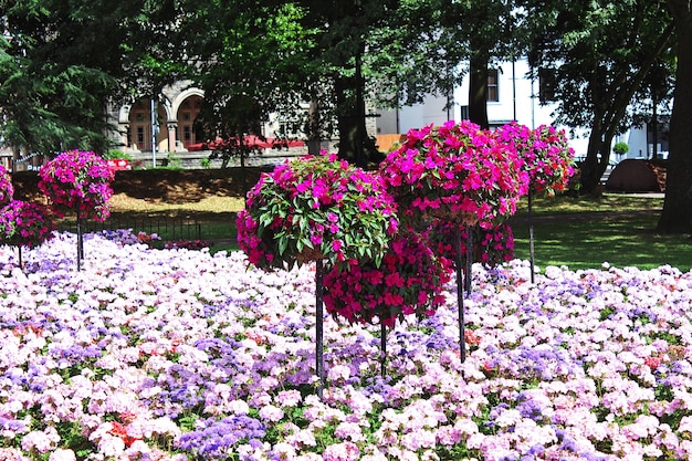 El jardín de la ciudad de Cardiff, Gales, Reino Unido