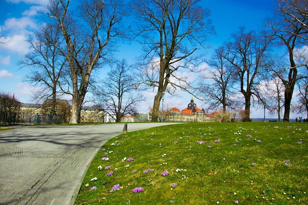 Jardín en Drezde