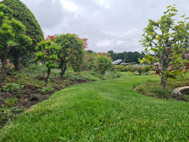 el jardín es un hermoso lugar para estar.