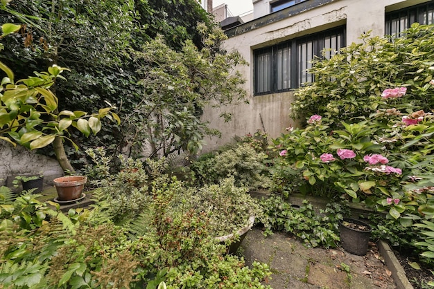 El jardín está lleno de plantas y flores.