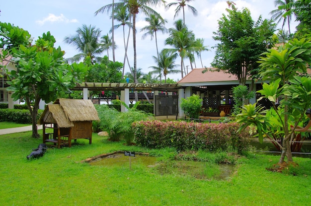 jardín con estanque