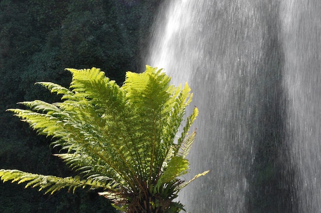 Jardin Extraordinaire ein Garten in Nantes