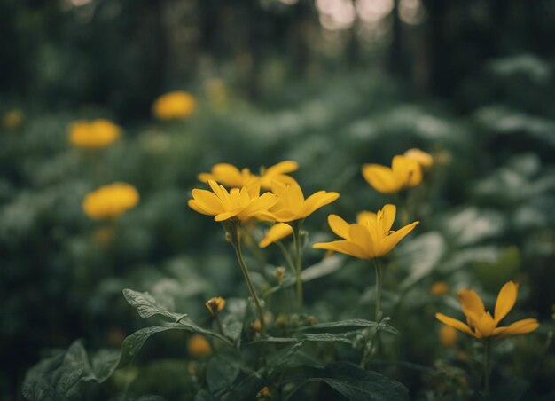 Un jardín de flores amarillas