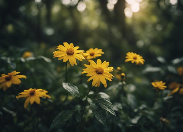 Foto un jardín de flores amarillas