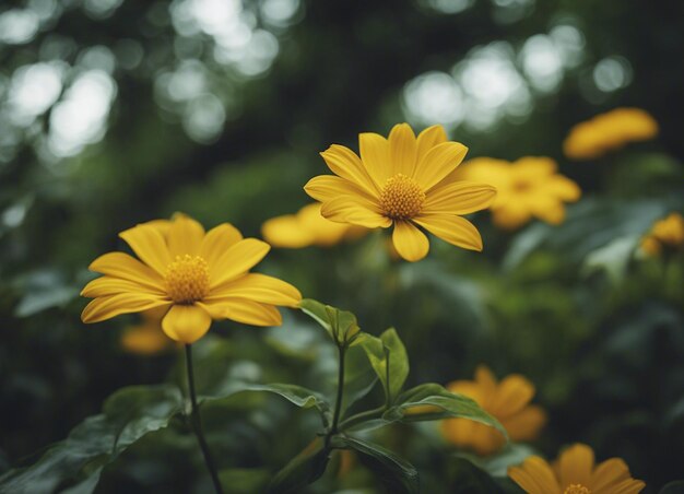 Un jardín de flores amarillas