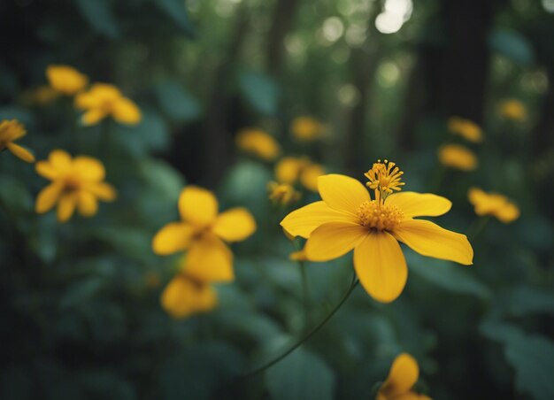 Un jardín de flores amarillas