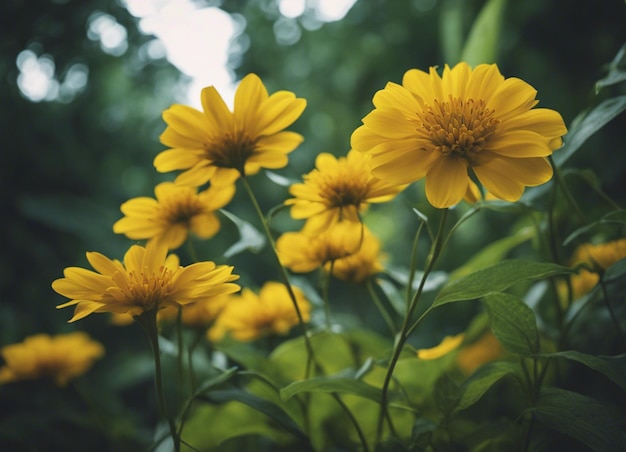 Un jardín de flores amarillas