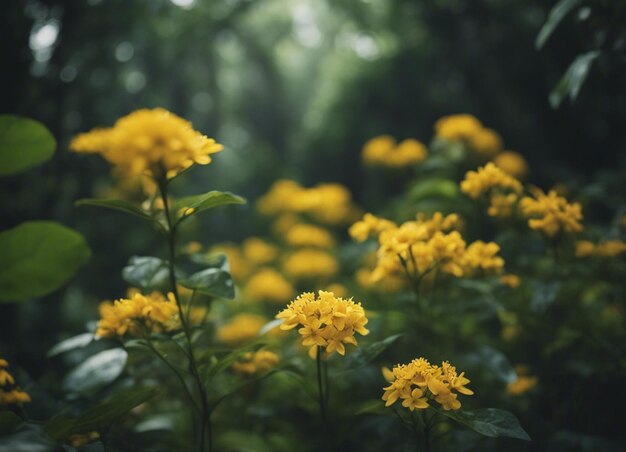 Foto un jardín de flores amarillas