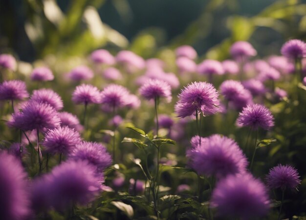 Un jardín de flores mixtas