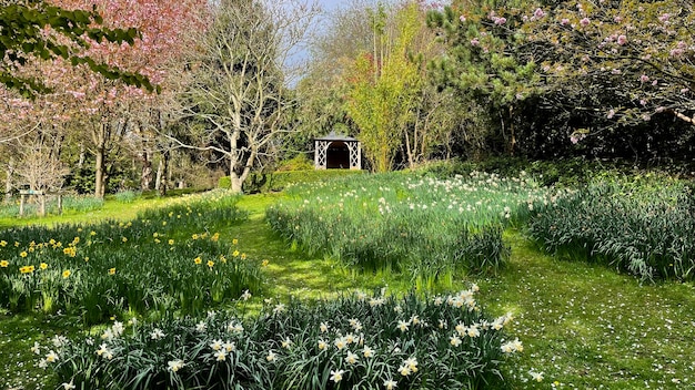 jardín flores primavera árboles pérgola paraíso