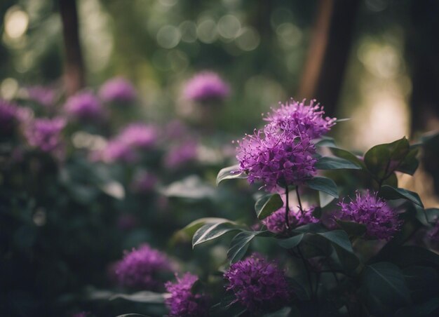 Un jardín de flores púrpuras