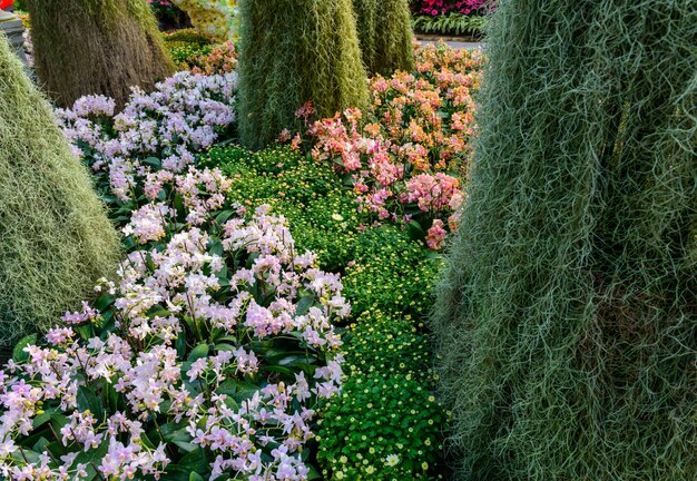 El jardin de flores