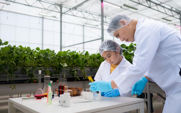 En el jardín de fresas cerrado un joven científico lleva a cabo una producción de nutrientes de fresas