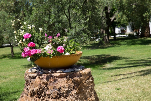 Jardín griego con gran tinaja