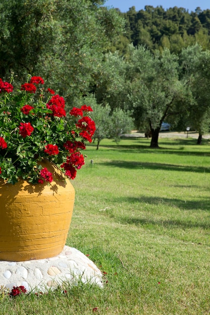Jardín griego con gran vasija de barro