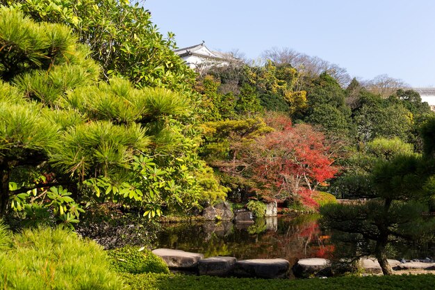 jardín japonés con arce rojo