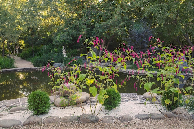 Jardín japonés con estanque y pagoda en un parque paisajístico