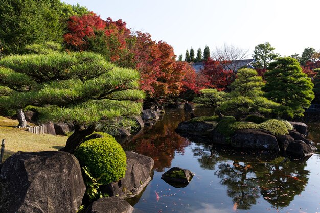 Foto jardín japonés de kokoen