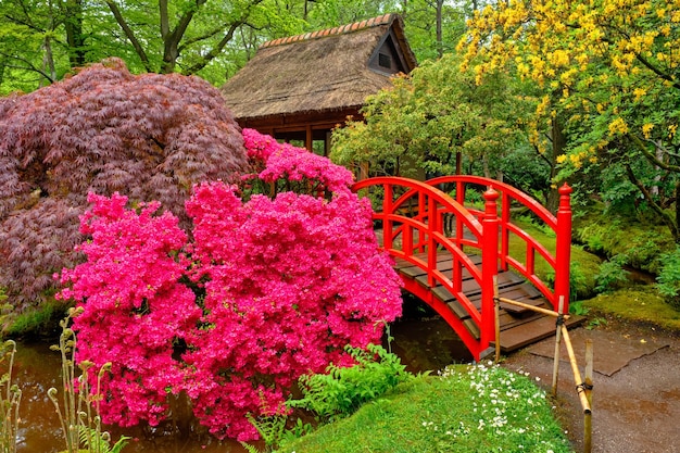 Jardín japonés Parque Clingendael La Haya Países Bajos.