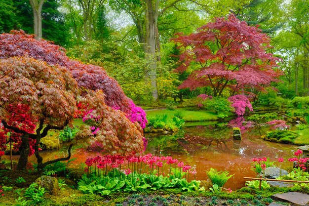 Jardín japonés, Parque Clingendael, La Haya, Países Bajos