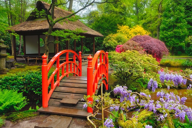 Jardín japonés, Parque Clingendael, La Haya, Países Bajos