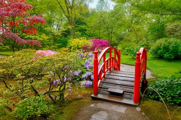 Foto jardín japonés, parque clingendael, la haya, países bajos