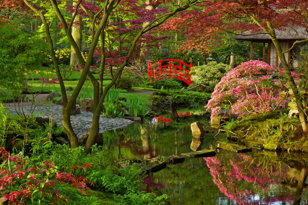 Jardín japonés con puente rojo en primavera, Den Haag, Holanda