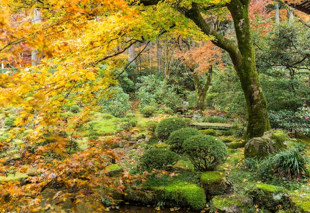 Jardín japonés con temporada de otoño.