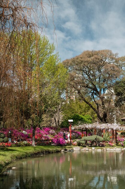 Jardín japonés tradicional en Buenos Aires, Argentina