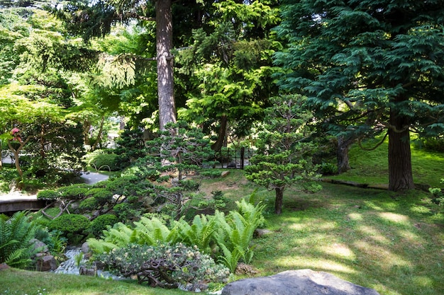 jardín japonés en verano