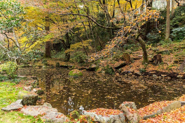 Jardín Japonés