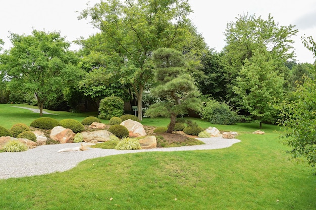 Un jardín con un jardín de rocas y un árbol.