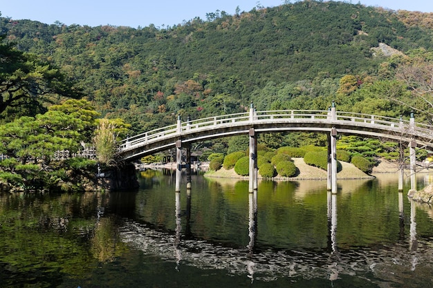 Jardín Kokoen tradicional en Himeji